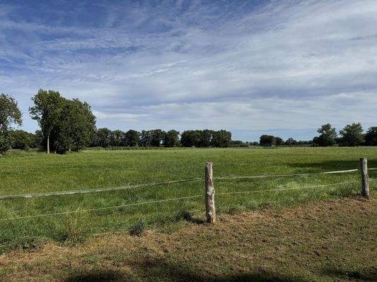 Blick Richtung Wiese
