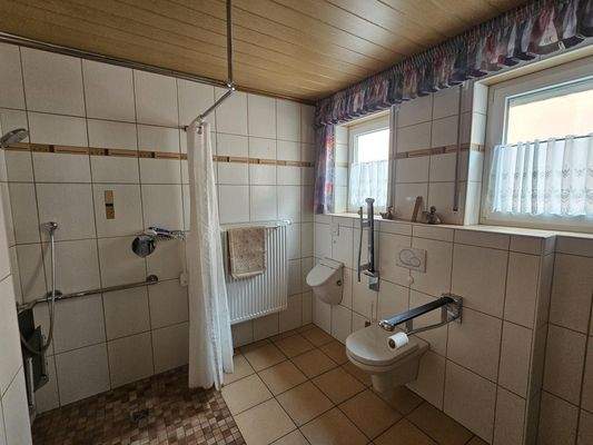 großes Tageslichbad (barrierefrei)