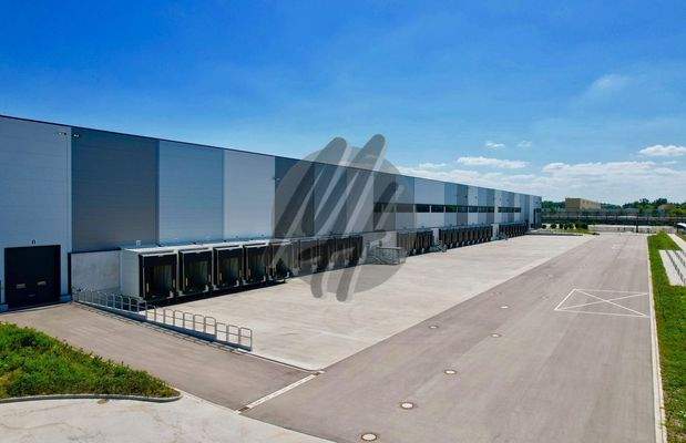 INFOS UNTER: 06171-586000