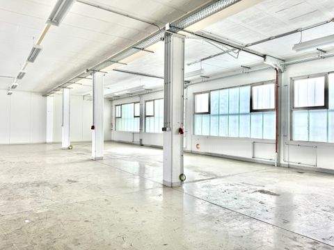 Meßkirch Halle, Meßkirch Hallenfläche