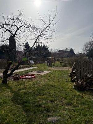 PHOTO-2026-03-08-11-15-29 (2).jpg