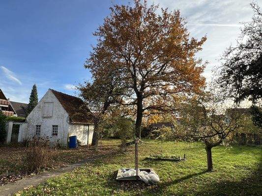 Garten mit kleinem Stallgebäude