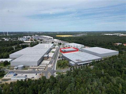 Ludwigsfelde Halle, Ludwigsfelde Hallenfläche