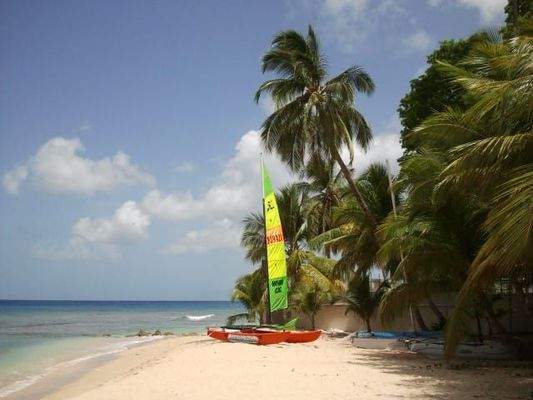 WhatsApp Image 2025-07-24 at 14.49.30