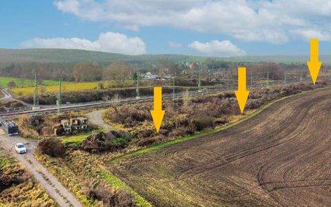 Seegebiet Mansfelder Land Bauernhöfe, Landwirtschaft, Seegebiet Mansfelder Land Forstwirtschaft