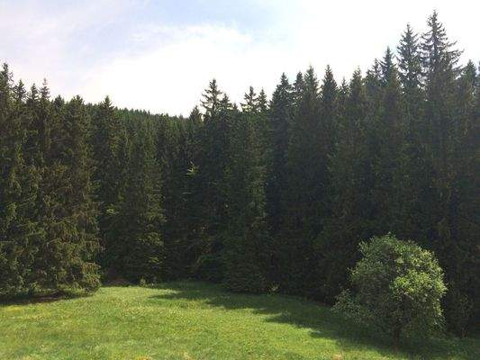 5 Ferienhaus Blick 13.JPG