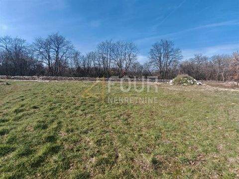 Svetvincenat Bauernhöfe, Landwirtschaft, Svetvincenat Forstwirtschaft