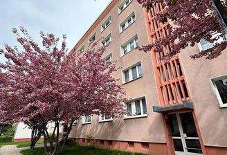 Blick auf das Haus im Frühling