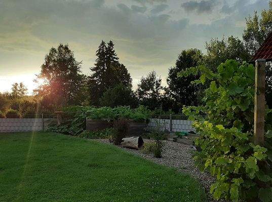 Sonnenuntergang im Grünen