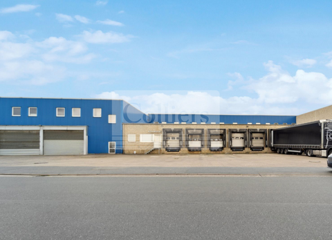 Langenhagen Halle, Langenhagen Hallenfläche