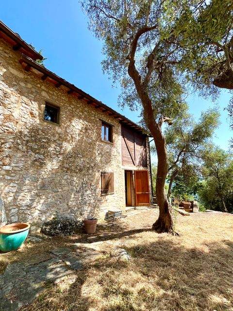 Camaiore Häuser, Camaiore Haus kaufen