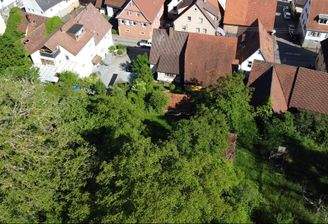 Grundstück und Haus von oben, (noch) stark bewachsen.