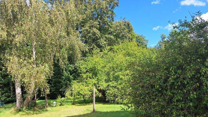 Garten auf der Nordseite 