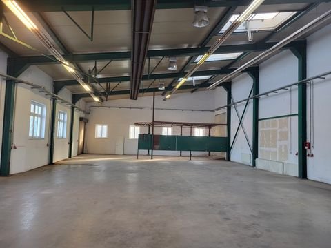 Apolda Halle, Apolda Hallenfläche