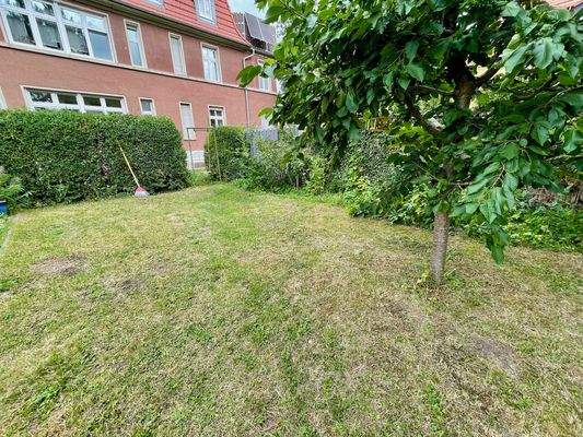 Garten - Blick aufs Haus