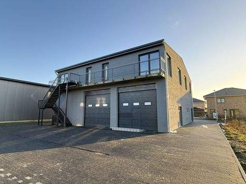 Kölln-Reisiek Halle, Kölln-Reisiek Hallenfläche