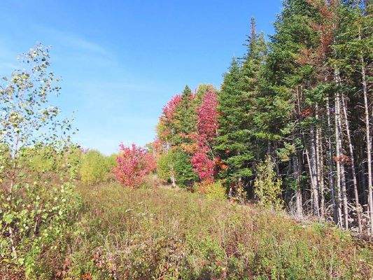 Nova Scotia - Smithfield - Wunderschönes 47-Hektar