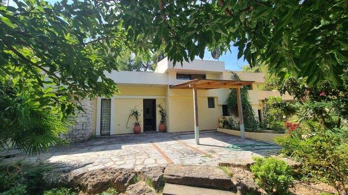 0bca9242-c271-4da1-a649-cb5065072dc7