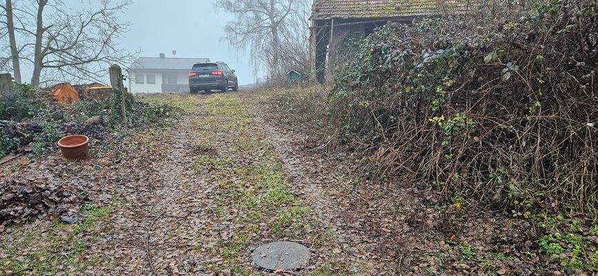 Auffahrt zum Grundstück.jpg