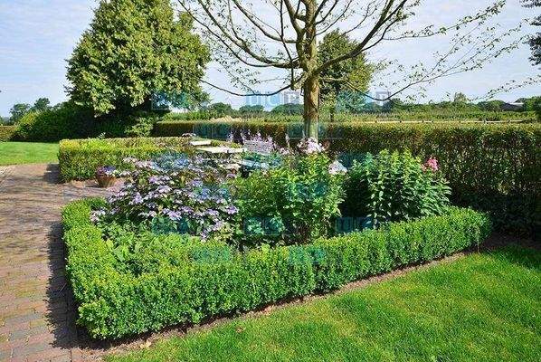 wunderschön angelegter Garten