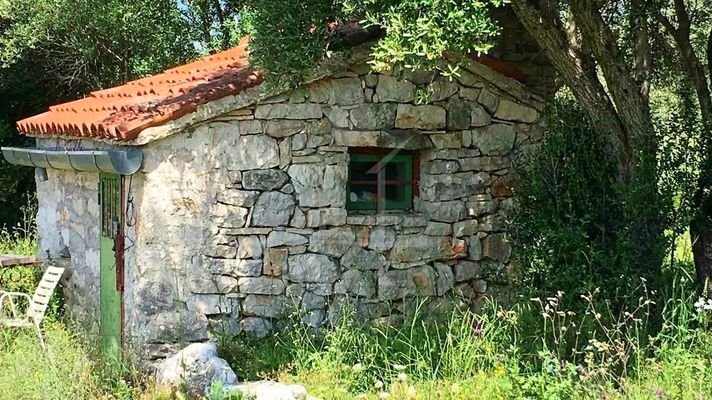 Vielseitiges, riesiges landwirtschaftliches Anwesen mit Waldflächen