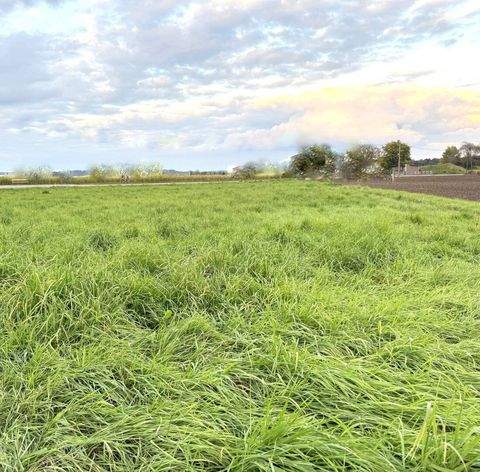 Arnfels Grundstücke, Arnfels Grundstück kaufen