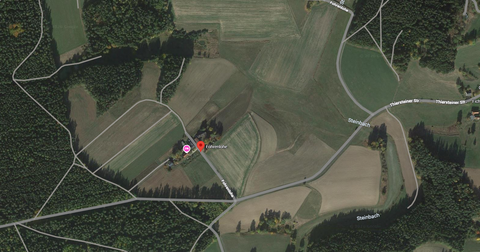 Hohenberg an der Eger Bauernhöfe, Landwirtschaft, Hohenberg an der Eger Forstwirtschaft