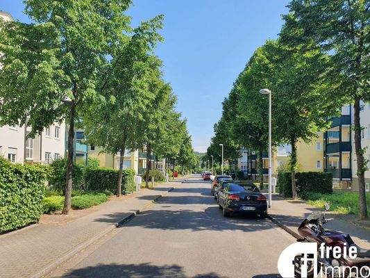 Umfeld mit Blick zur Elbe