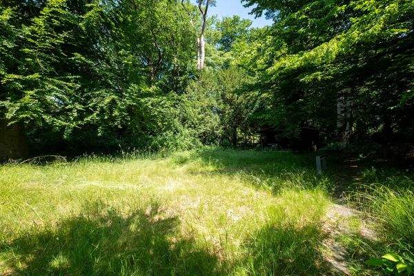 mit sonnigen Plätzen