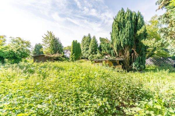 Gartenfläche 2 Perspektive