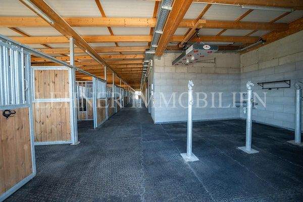 Lehner Immobilien Bild 81