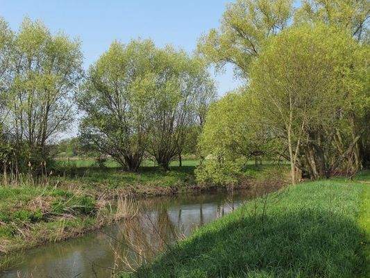 Nördliche Okeraue im Naturschutzgebiet Groß Schwülper