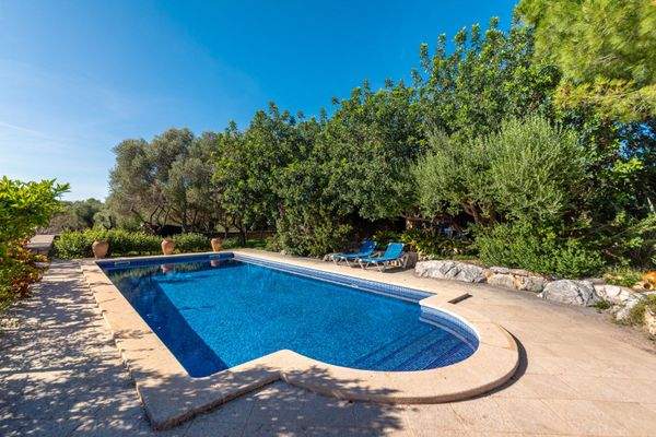 Gepflegter Poolbereich