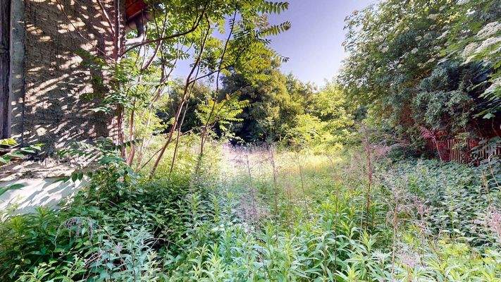 hinterer Grundstücksbereich