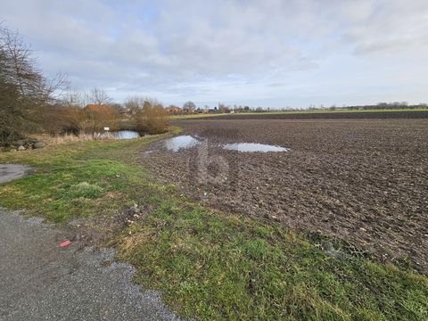 Fehmarn Grundstücke, Fehmarn Grundstück kaufen