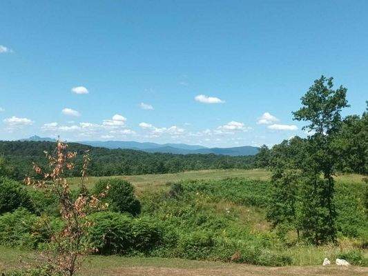 WhatsApp Image 2025-07-01 at 08.25.09 (5)