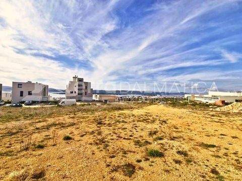 Sveti Filip i Jakov Bauernhöfe, Landwirtschaft, Sveti Filip i Jakov Forstwirtschaft