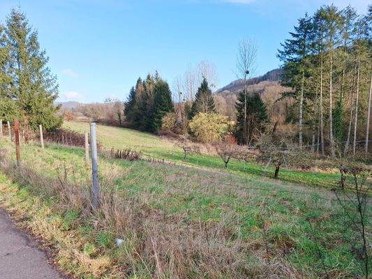 Grundstück Hausbacher Straße Ansicht 2.jpg