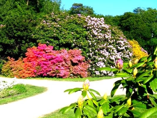 ERHOLUNG IM RHODODENDRONPARK