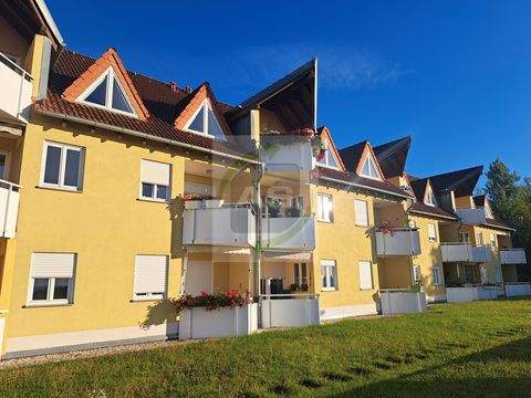Zwickau Wohnungen, Zwickau Wohnung mieten