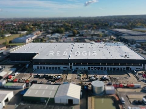 Neu Wulmstorf Halle, Neu Wulmstorf Hallenfläche