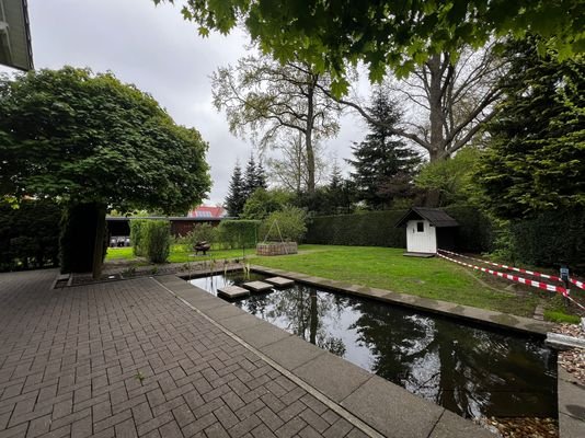 Gartenteich Bild 1
