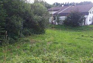 Grundstück Ansicht 1