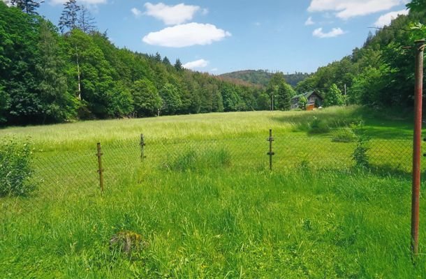 Herrliche Thüringerwald - Idylle