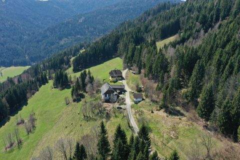 Himmelberg Bauernhöfe, Landwirtschaft, Himmelberg Forstwirtschaft