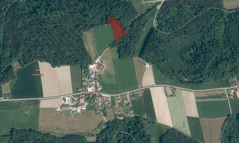 Haundorf Bauernhöfe, Landwirtschaft, Haundorf Forstwirtschaft