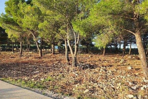 Traumhafte Landfläche nahe dem Meer