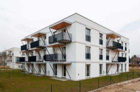 Blindenmarkt Wohnungen, Blindenmarkt Wohnung mieten