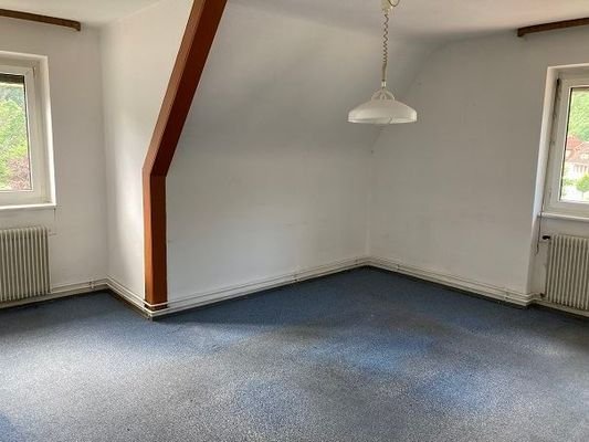 Zimmer DG