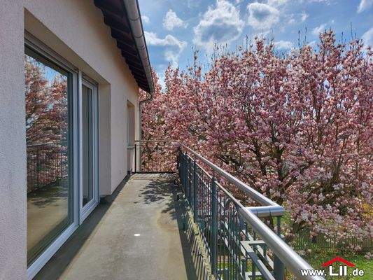 OG1 Balkon (1 von 2)